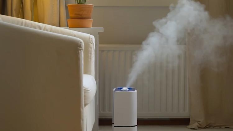 Surviving cold & flu season: How a humidifier can help