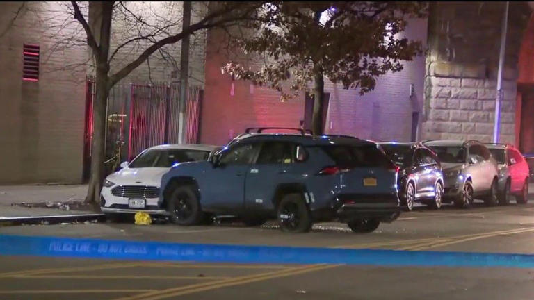 Rideshare driver fatally shot in the head near Cross Bronx Expressway ...