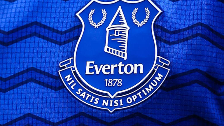 Everton are making swift progress with David Moyes at the helm. | Robbie Jay Barratt/AMA/Getty Images