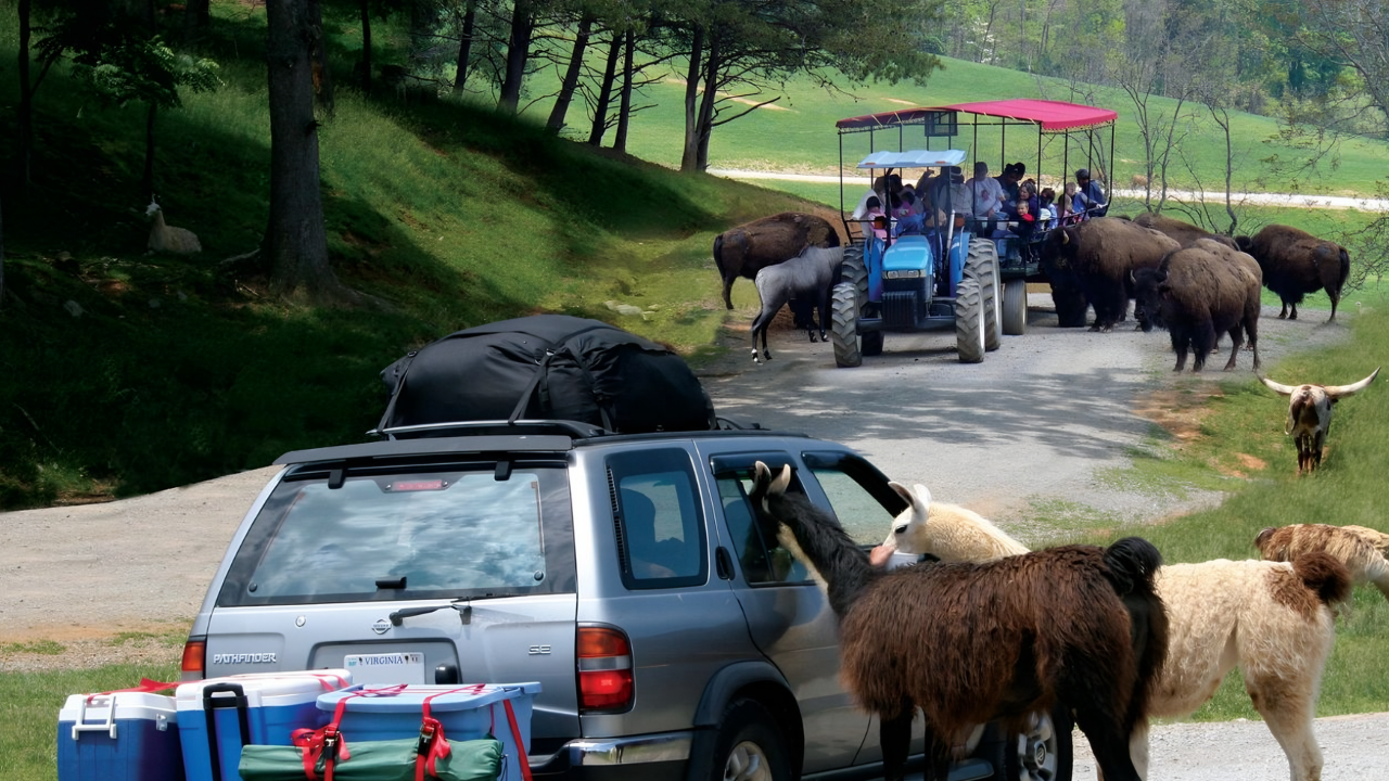 13 beautiful US nature spots where wildlife gets up close and personal