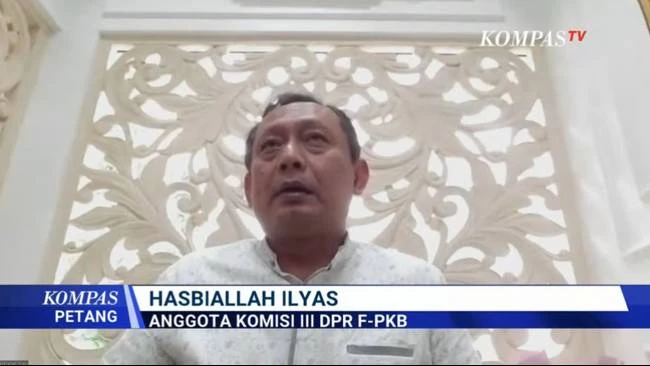 Anggota DPR: Teror pada Influencer Tidak Bisa Dianggap Kritik Bencana Alam