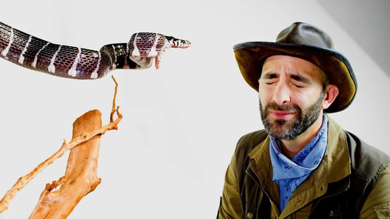 Interpreting snake body language