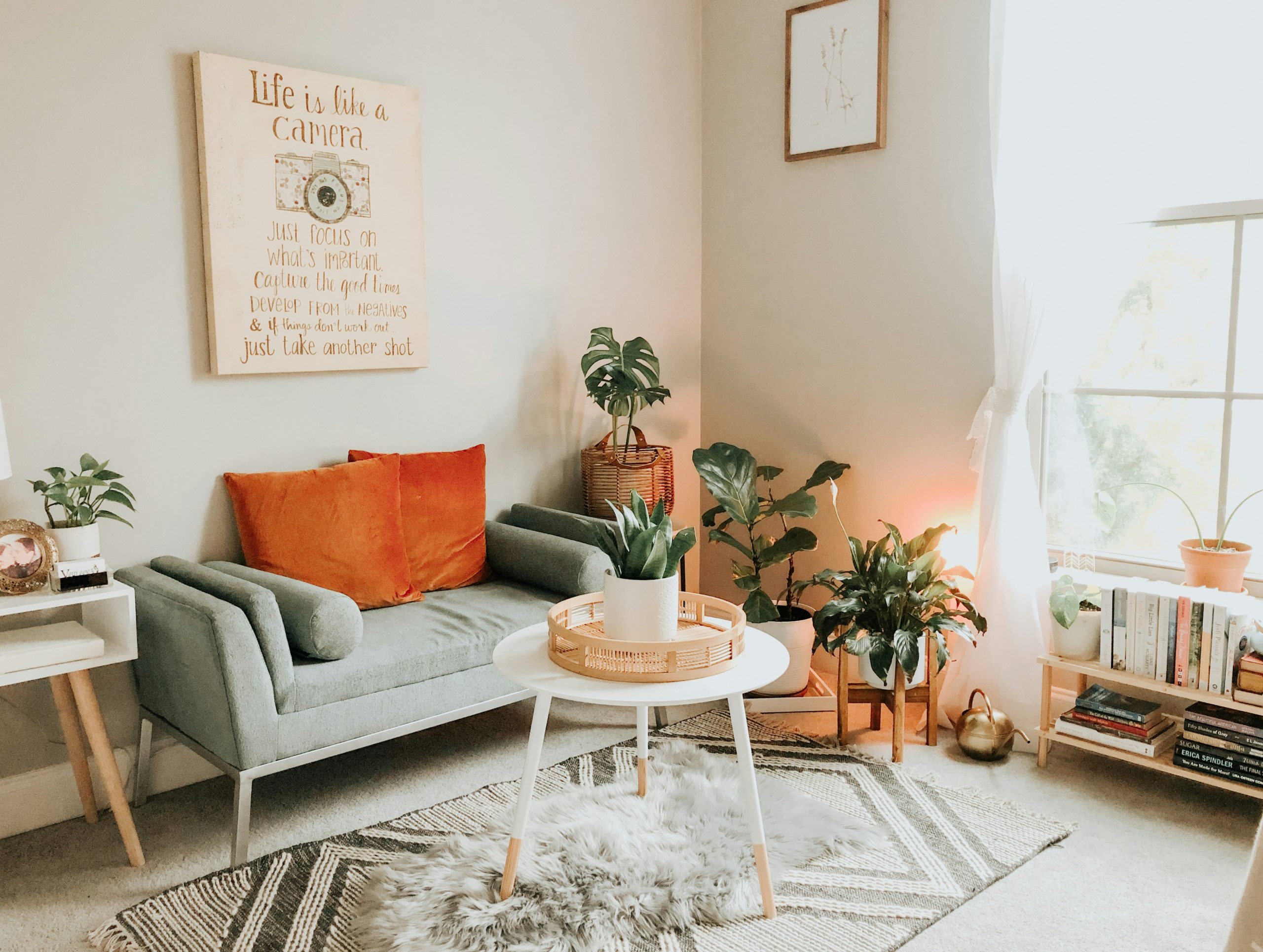 Rug placement rules for every room