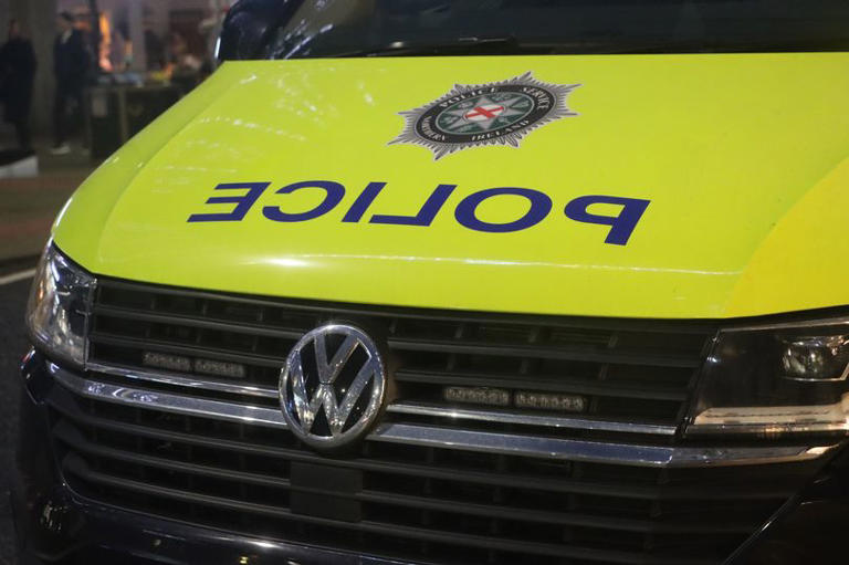 Arrests after 'altercation involving baseball bats' in Lisburn
