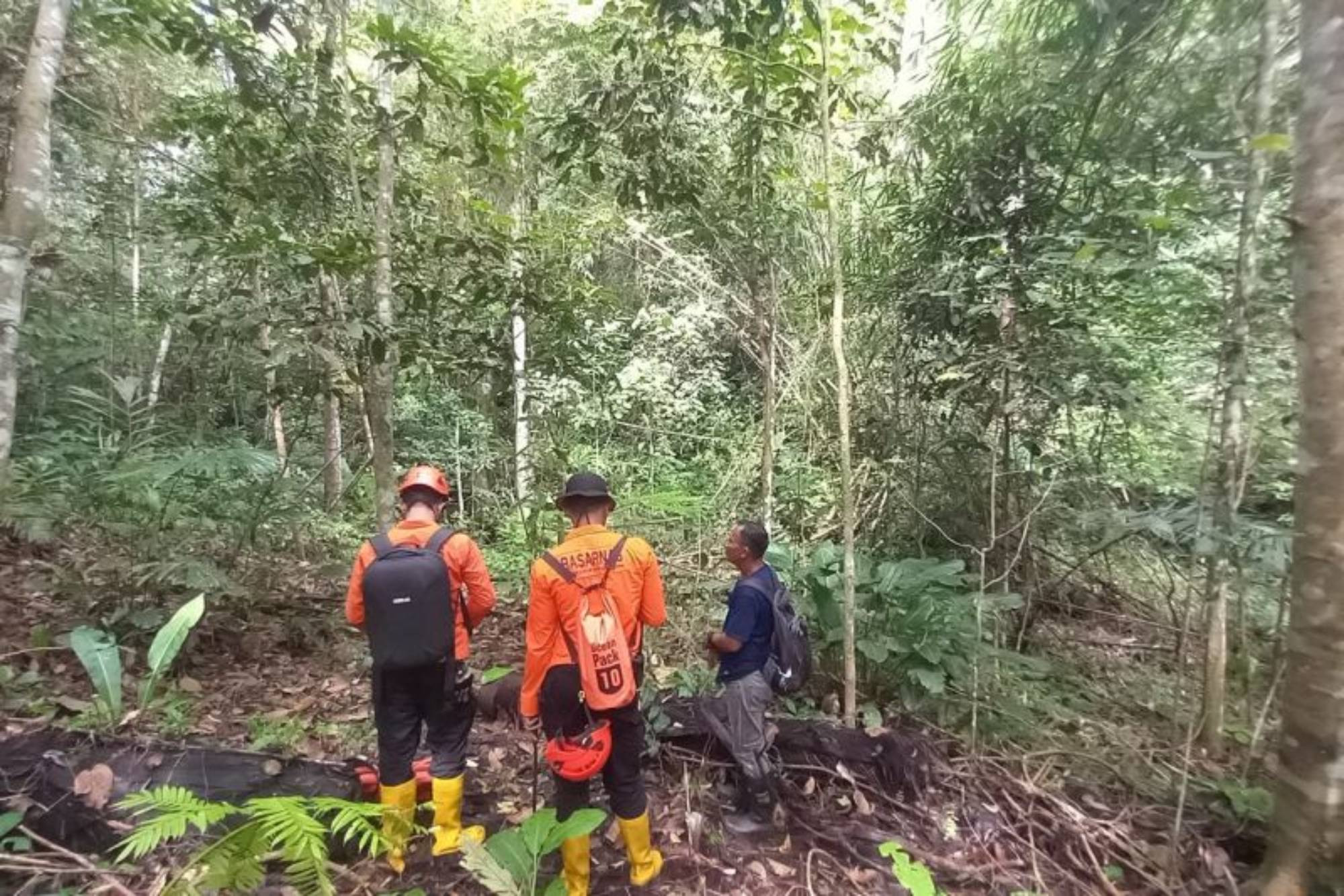 Ya Lefrand Hilang di Hutan