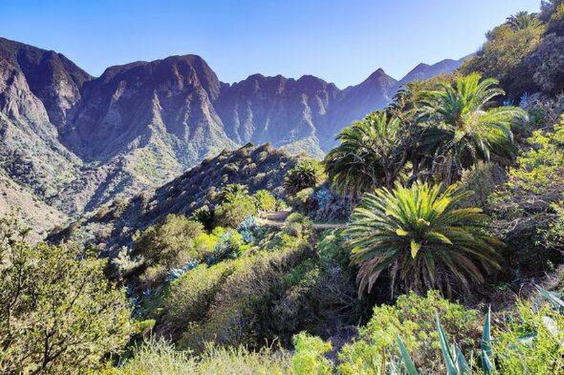 The lesser-known Canary Island that offers a tranquil escape just one ...