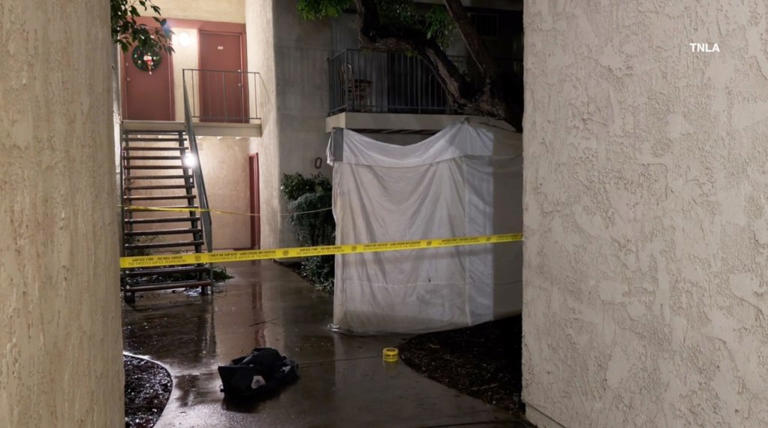 Heroic off-duty ICE agent guns down active shooter in LA