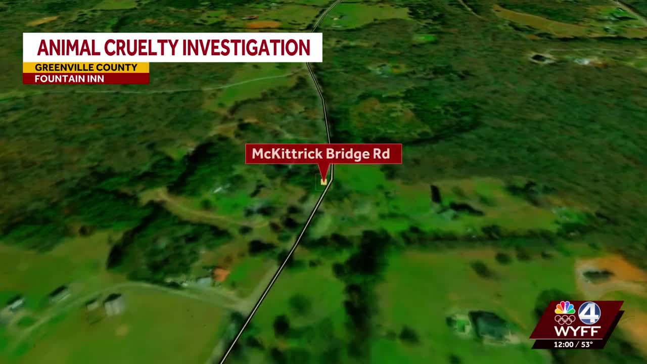 3 dogs found shot to death along Greenville County, South Carolina ...