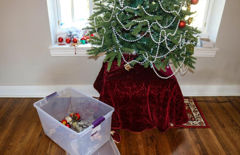 Where to recycle your Christmas tree after the holidays