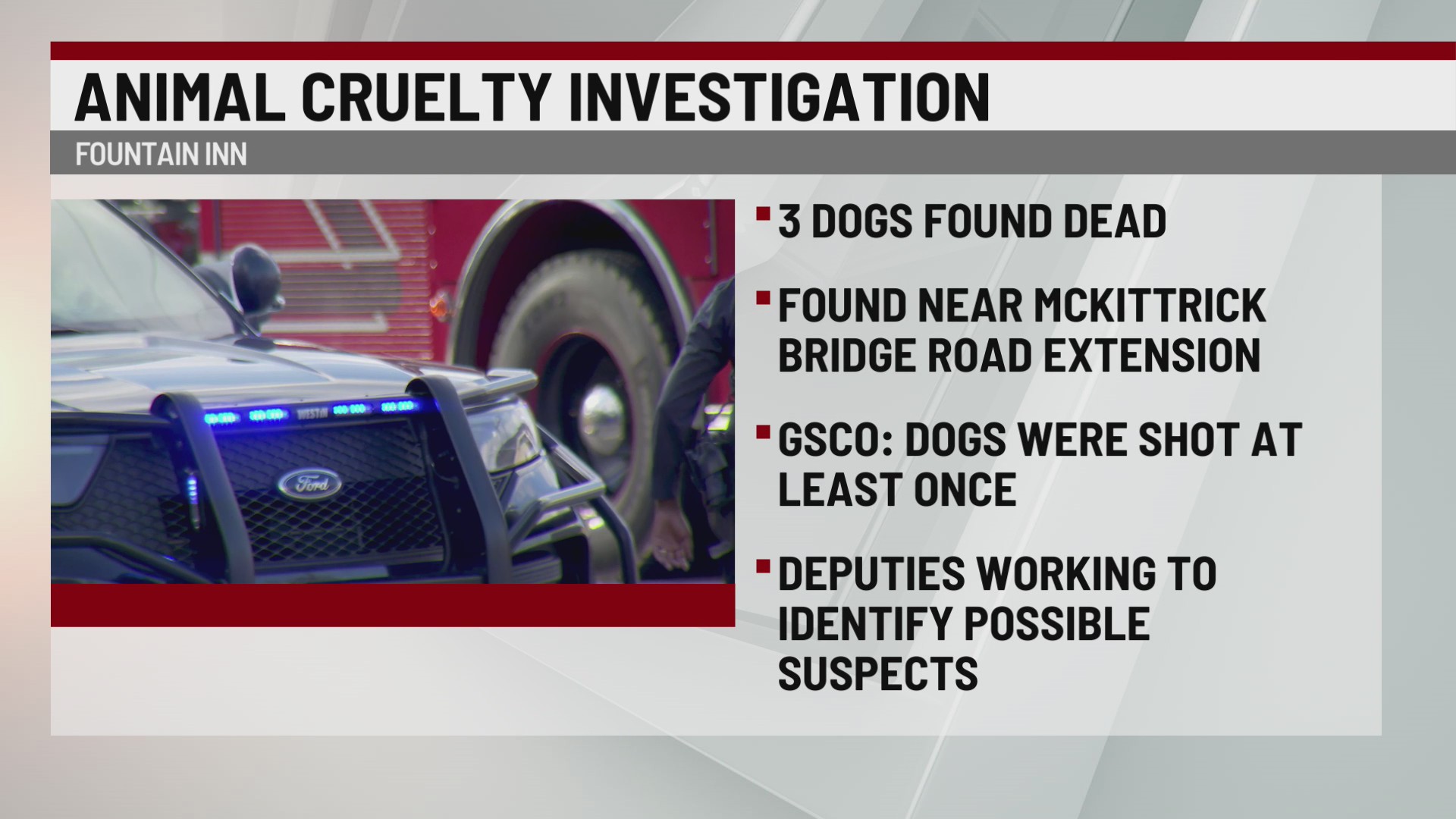 3 dogs found shot to death along Greenville Co. road