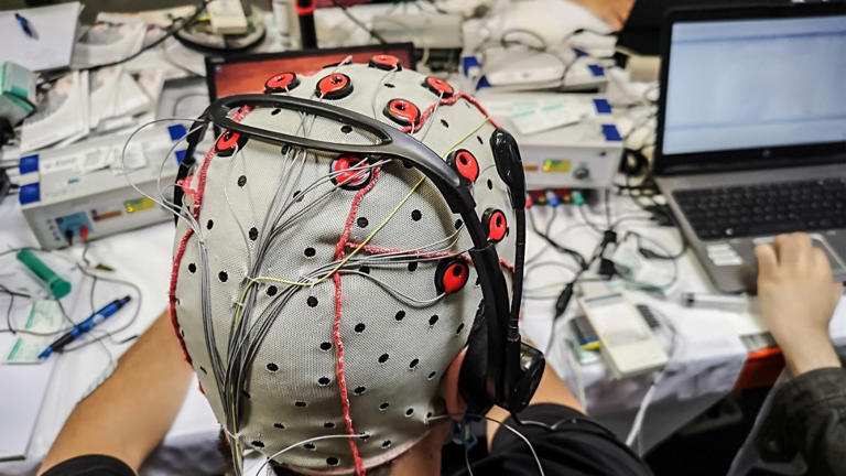 Inside Blindsight: Elon Musk's ambitious project to cure blindness in 2026