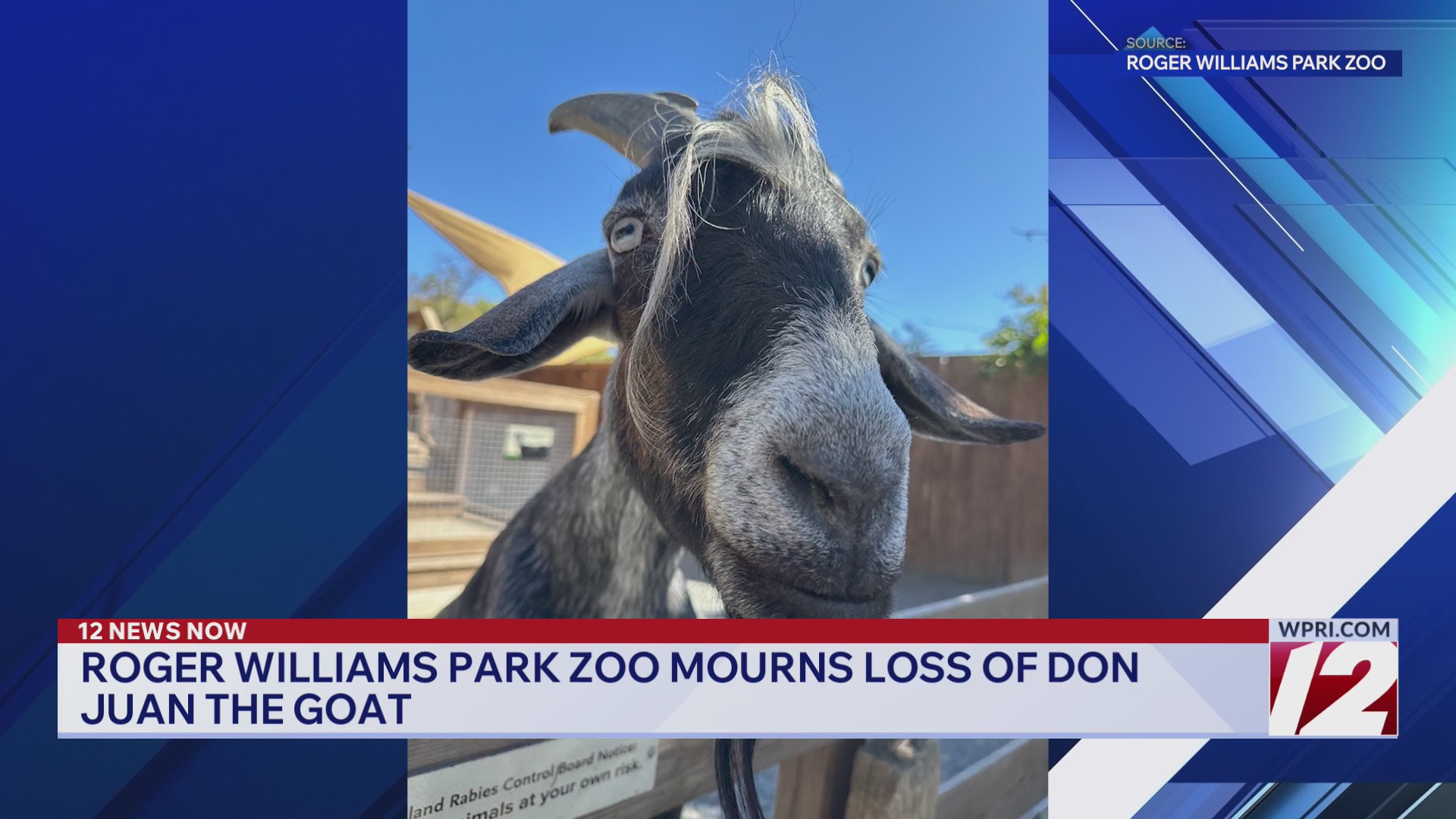RWP Zoo mourns loss of Don Juan the goat