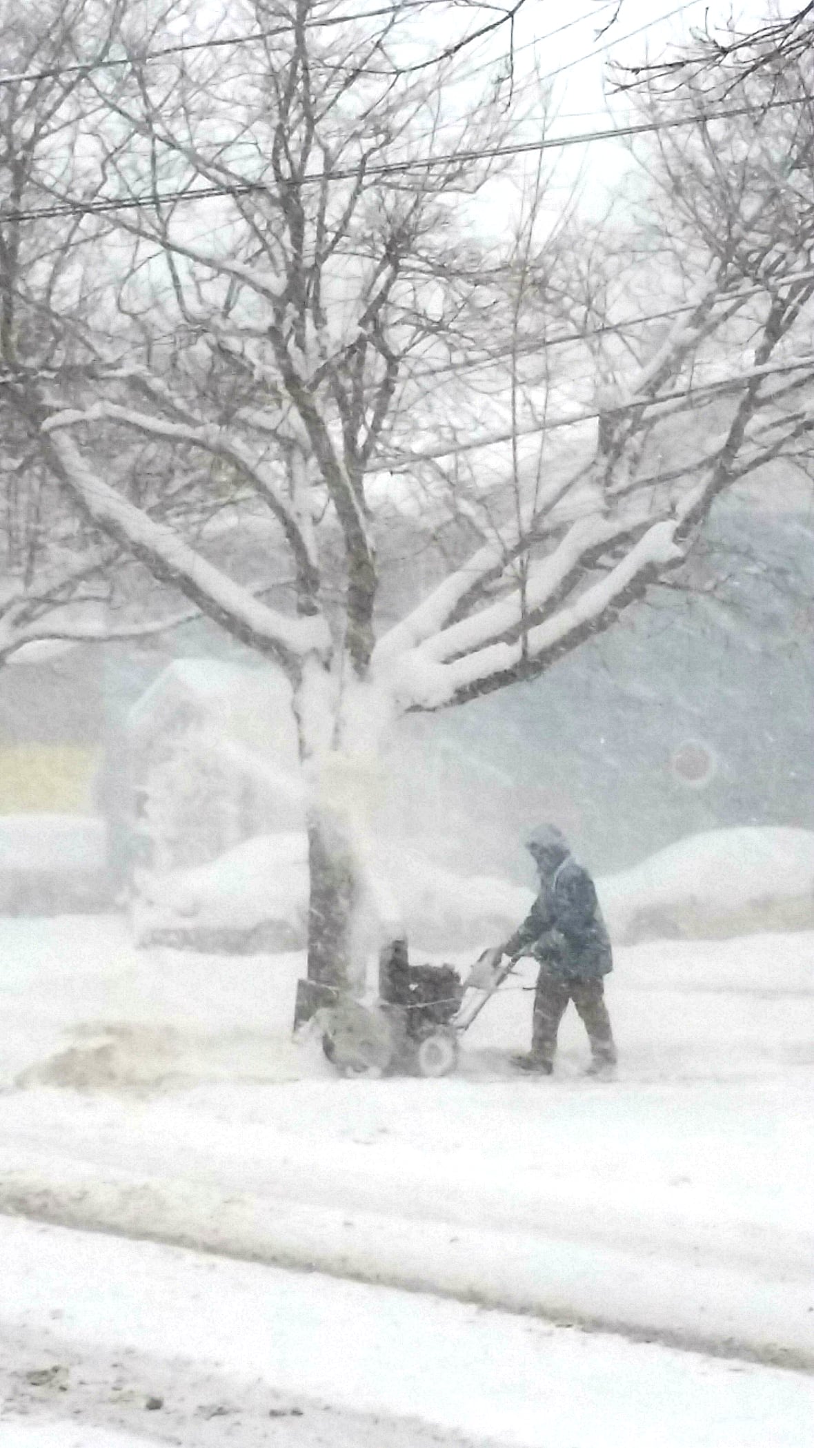 Whiteout conditions expected in parts of Nova Scotia