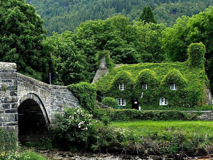 This Group Celebrates The Most Beautiful Dream Homes And Here Are The 30 Best