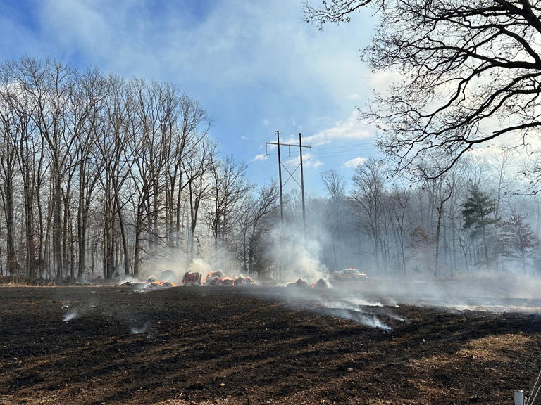 Brush fire spread by strong winds now under control, crews say