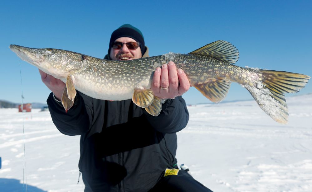 Bogus document on pike regulations highlights 'hot button' fishing issue