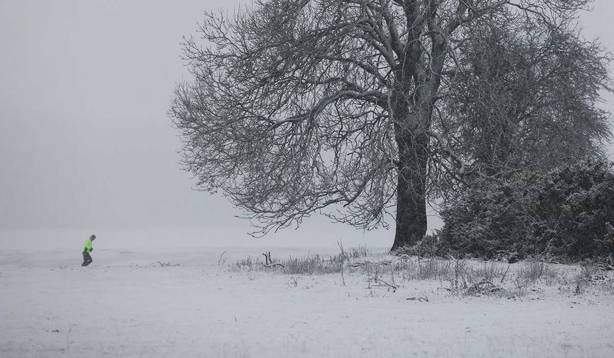 Could schools remain closed next week amid snow and ice warnings?