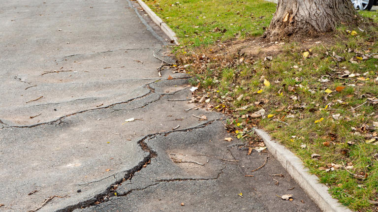 11 reasons why driveway cracks keep coming back & how to stop them for good