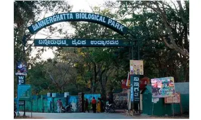 SC appointed CEC member visits Bannerghatta National Park over plea against  reduction of ESZ