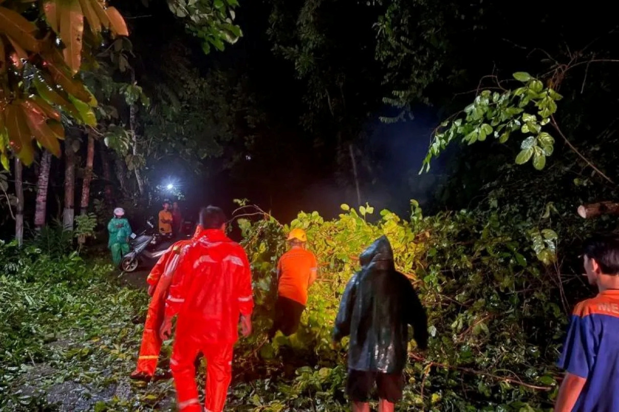 Angin Kencang Tumbangkan Puluhan Pohon, Jalur Ponorogo–Pacitan Terkendala