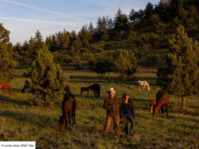 En Californie, le ranch de la seconde chance pour les mustangs