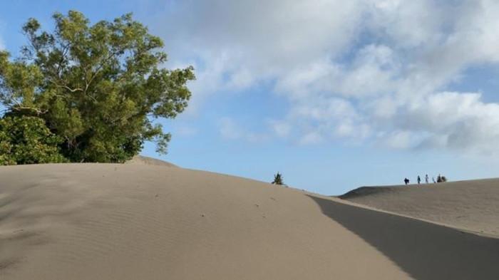 6 destinasi wisata daratan dekat Pantai Parangtritis, dari religi hingga sejarah