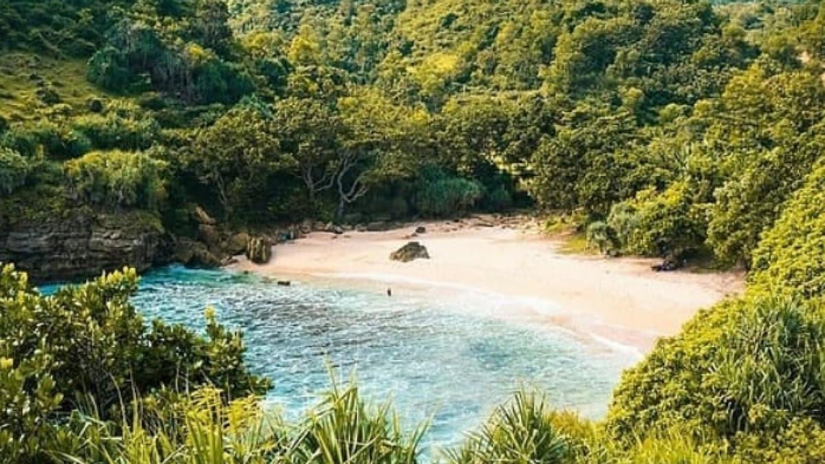 Harga Tiket Pantai Ngetun Gunungkidul untuk Liburan Akhir Pekan 2026