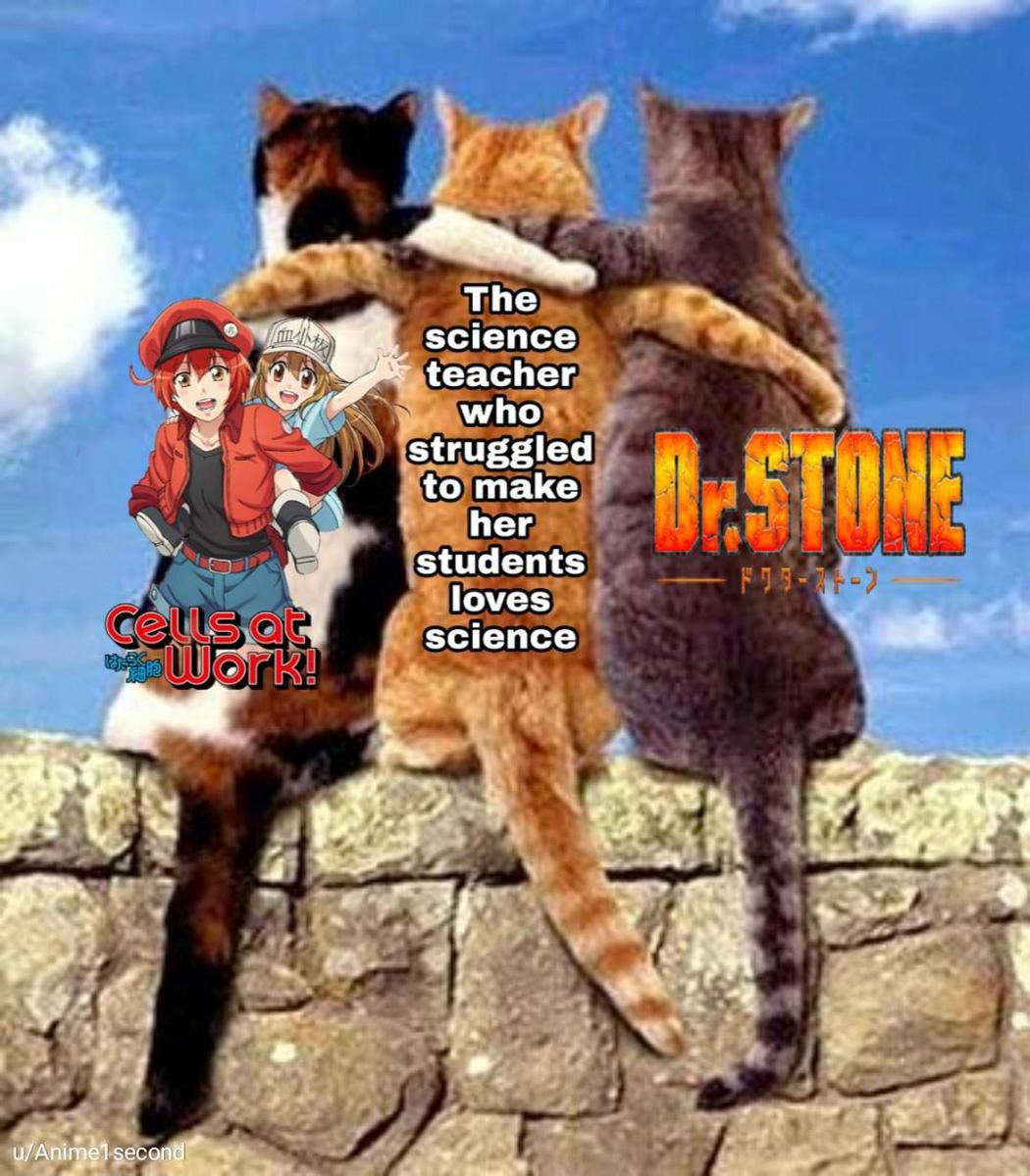 AA1Tul7e 8 Meme Sains Anime, Senku Selalu Ada