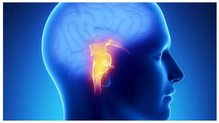 Ringing sound in your ear? 5 warning signs it is not normal