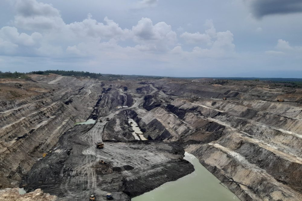 Lihat data terbaru kepemilikan Grup Salim di BUMI