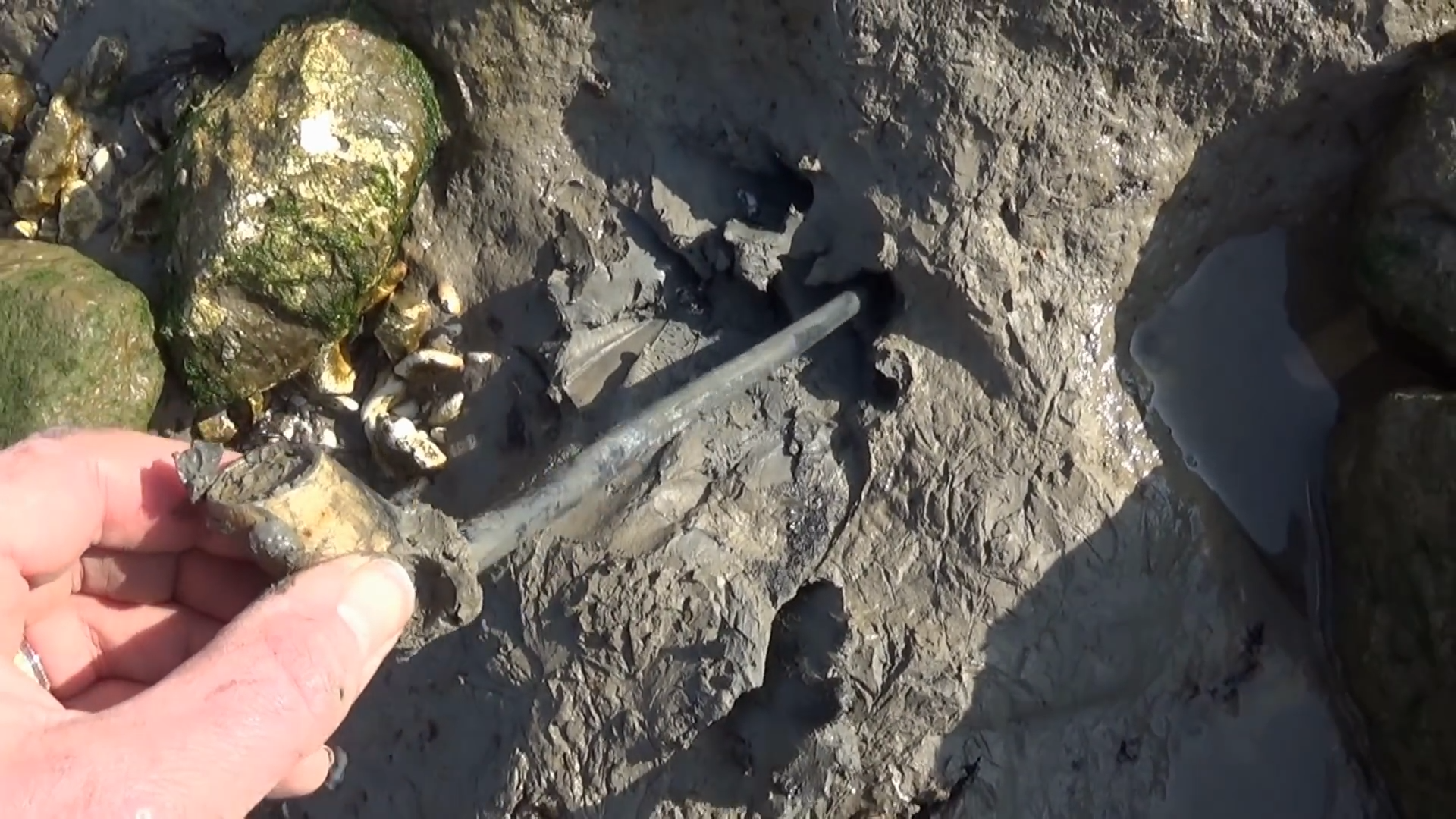 I found three very interesting pipes on the Thames