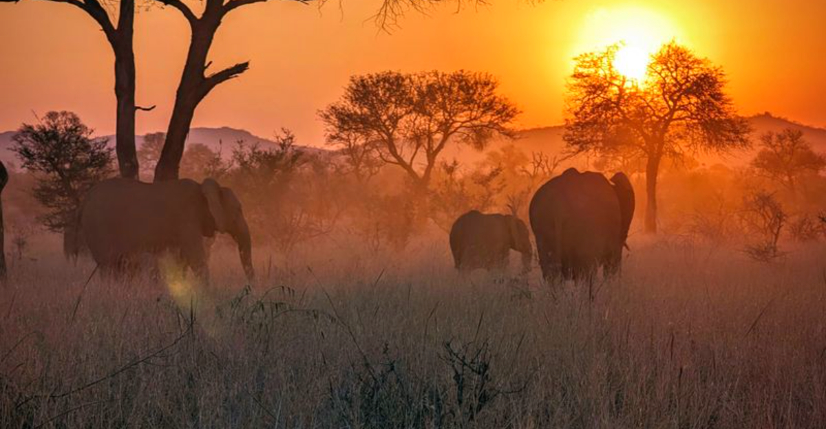10 countries with endless opportunities for exploration