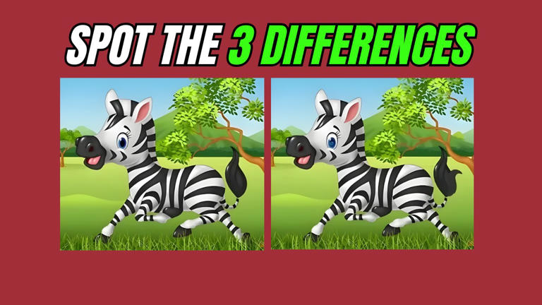 Spot 3 differences in the zebra running on the grass. Only 3% can find ...
