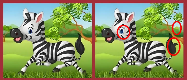 Spot 3 differences in the zebra running on the grass. Only 3% can find ...