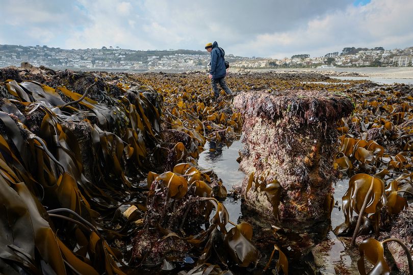 The strange object that emerges at lowest tide and its extraordinary story