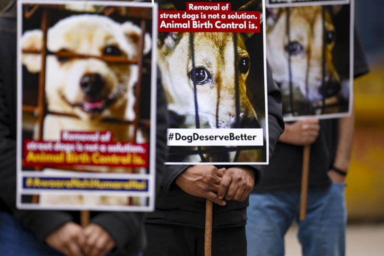 Dog lovers protest at Jantar Mantar against SC order to remove strays ...