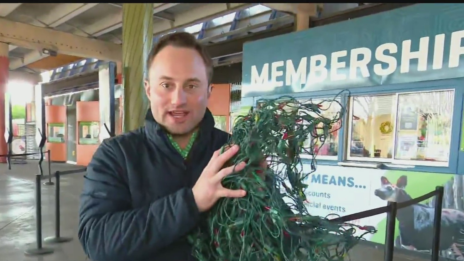 Dallas Zoo offers Christmas light recycling