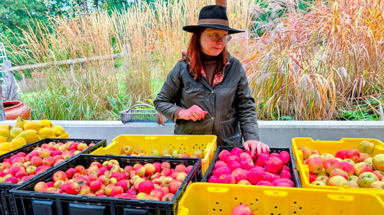 5 Washington downtowns that exemplify the charm of the Pacific Northwest