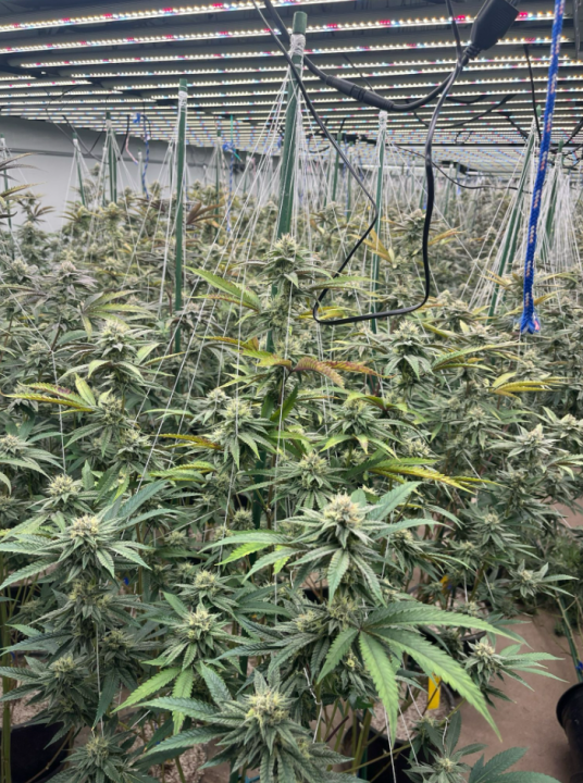 Several New Laws Take Effect At Start Of The New Year