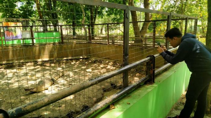 Niko Pantau Peningkatan Kunjungan Wisata ke Semarang Zoo Saat Libur Nataru
