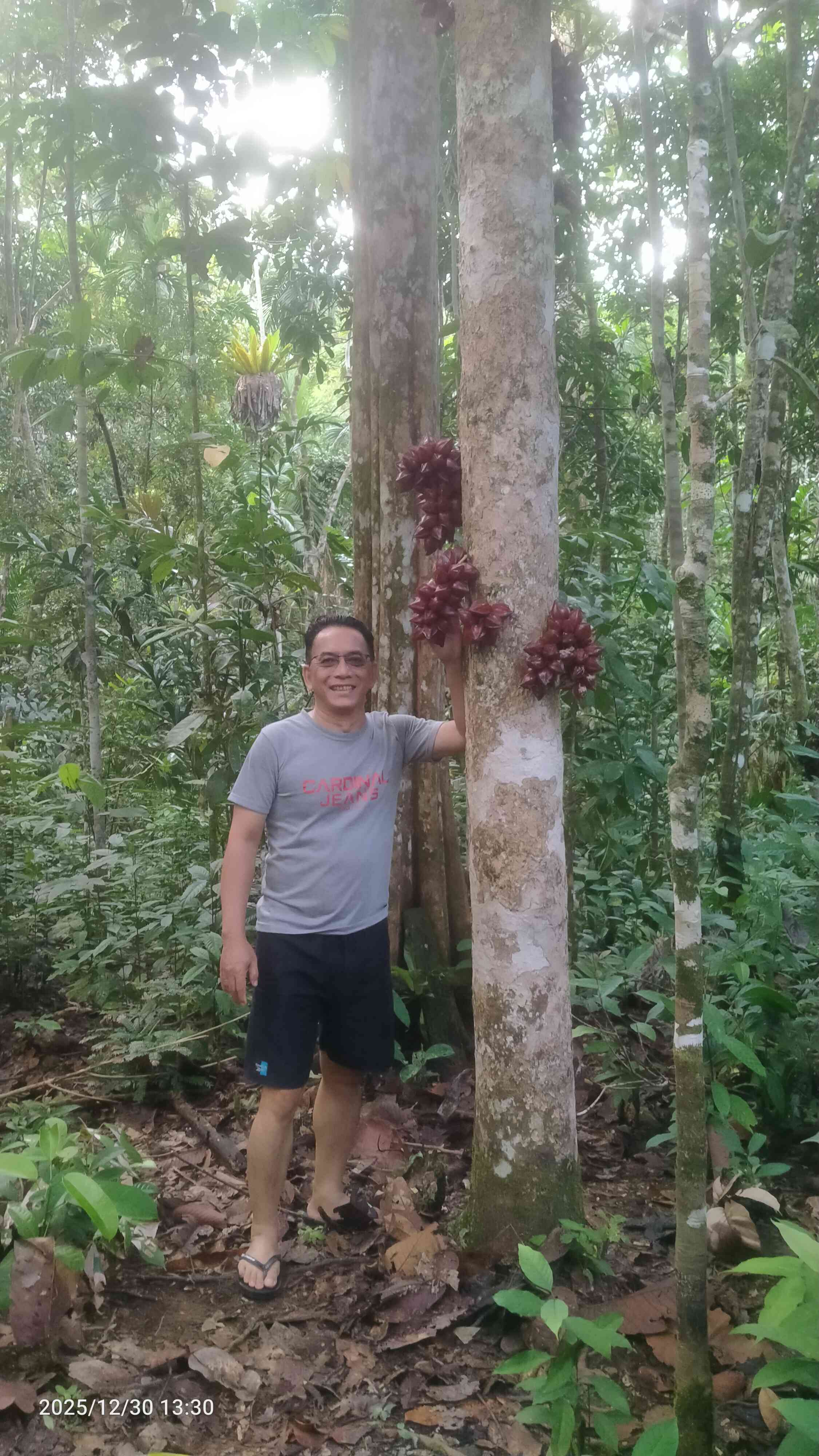 Buah Hutan Kalimantan: Kenangan Manis yang Memanggil Kesadaran