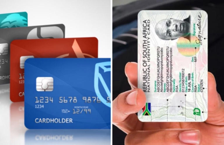 Green mamba SA ID booklet: Is 2026 the last year?