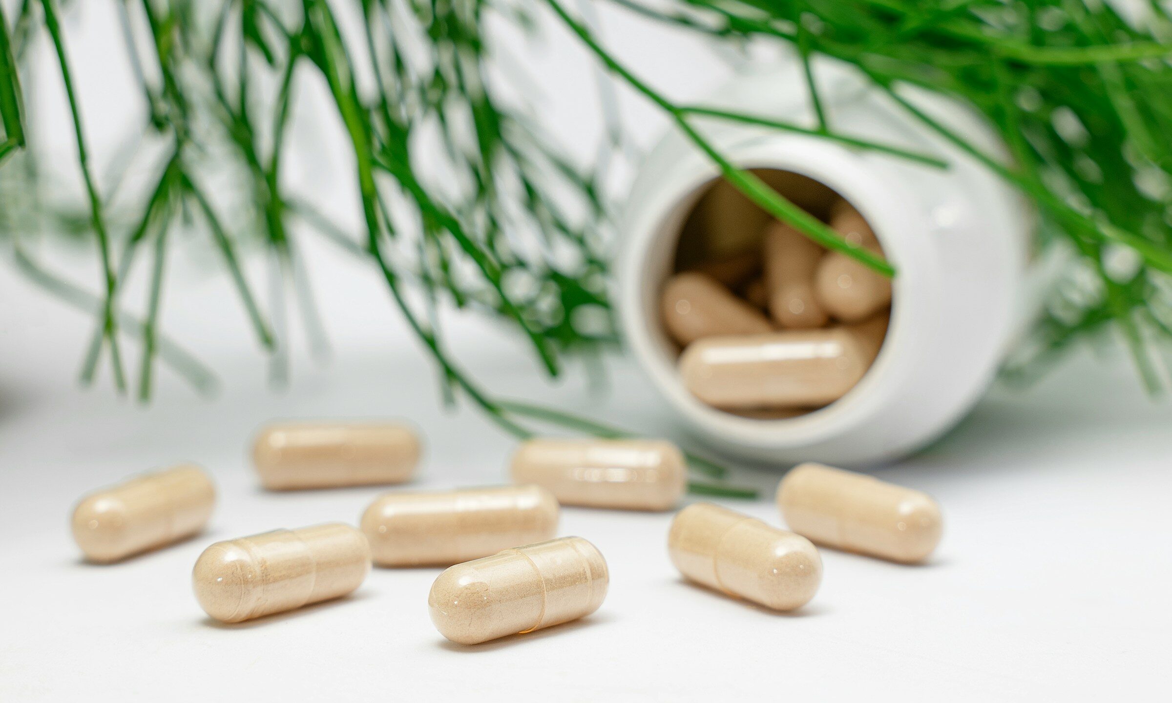 AA1TweDK Probiotics Decoded: Dr. Wijetilaka Reveals the Truth