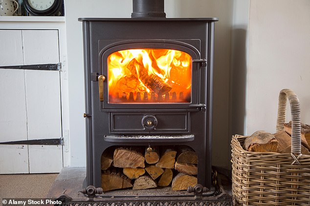 AA1Twudo Is Your Trendy Wood-Burning Stove Making You Fat?