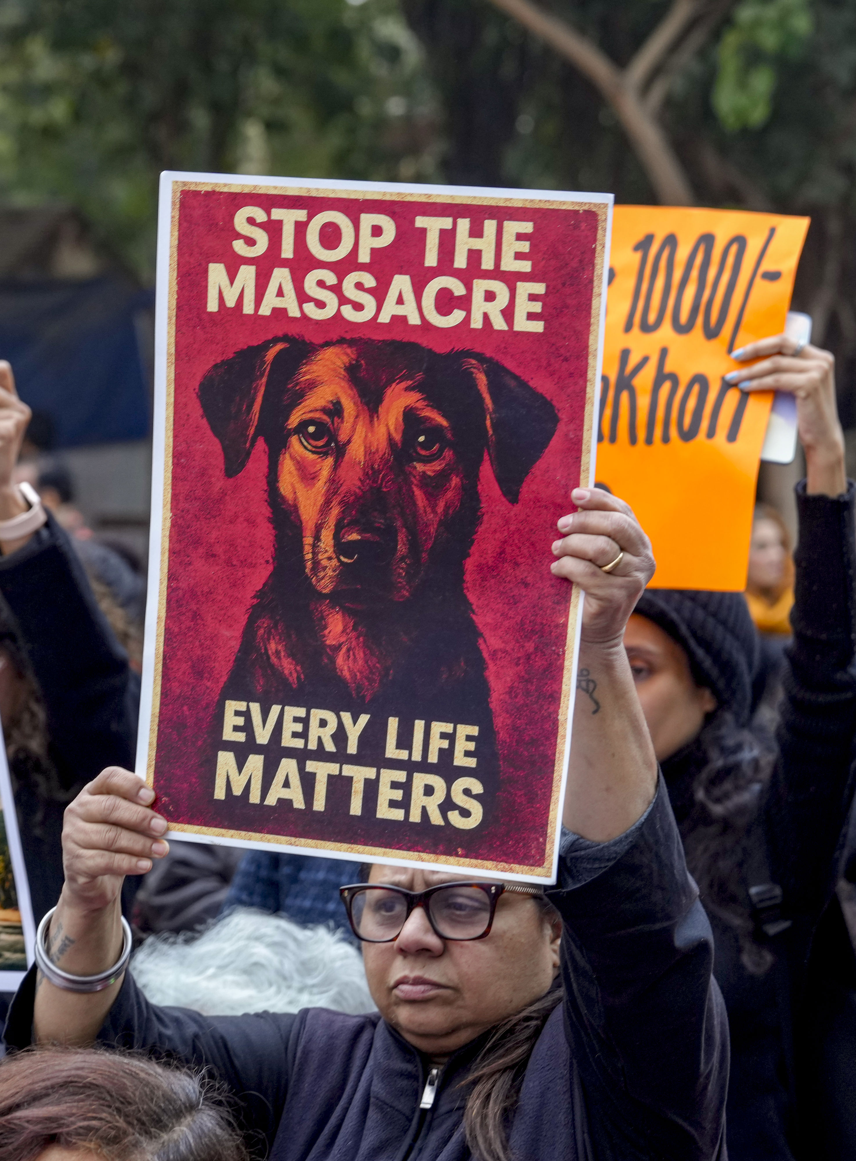 Stray dogs issue: Activists, citizens protest at Delhi's Jantar Mantar ...