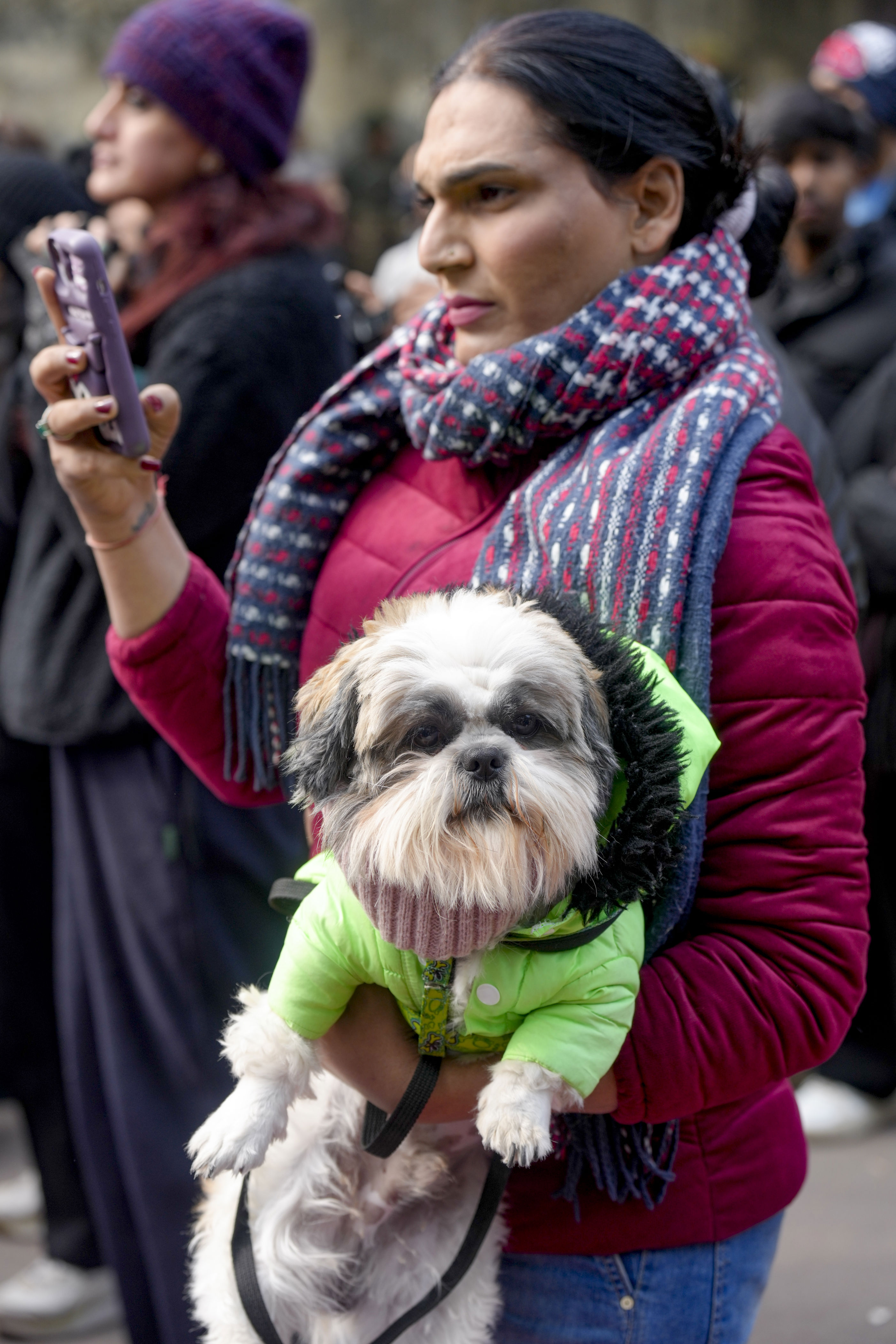 Stray dogs issue: Activists, citizens protest at Delhi's Jantar Mantar ...