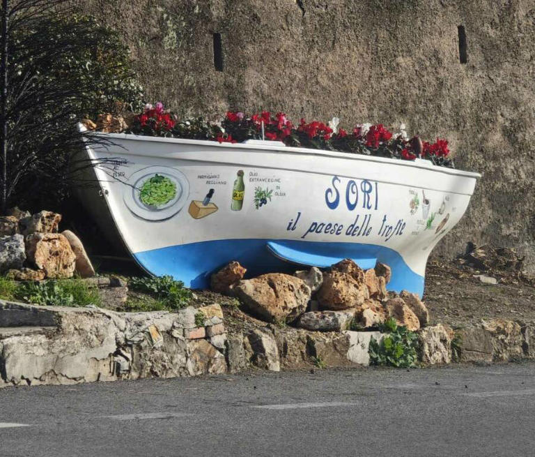 Griglia A Nido D'ape (RS) Portatarga Magnetico | Senza Cornice | Invisibile | Fo - Foto 10