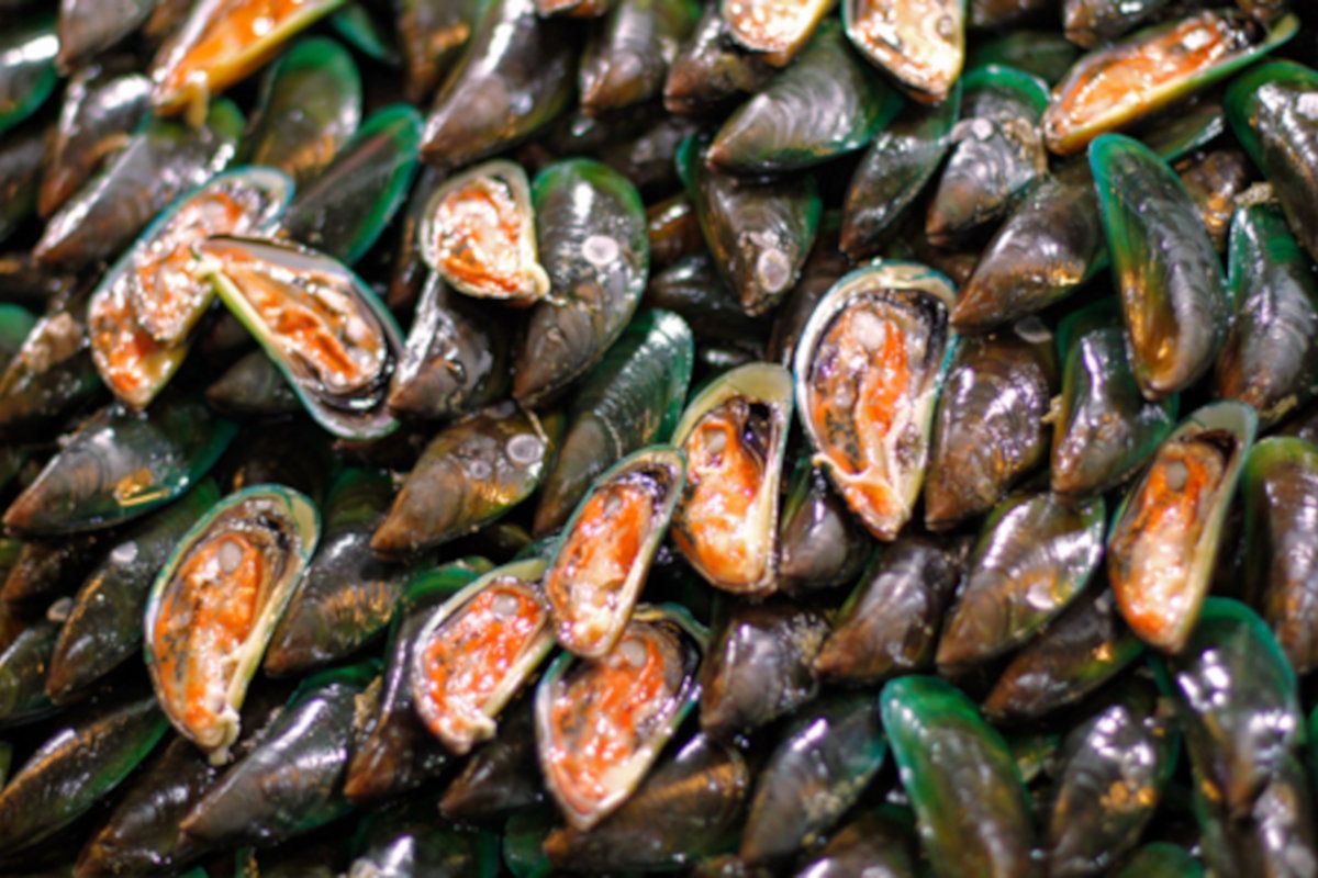 Update on shellfish washed up on West Coast due to red tide