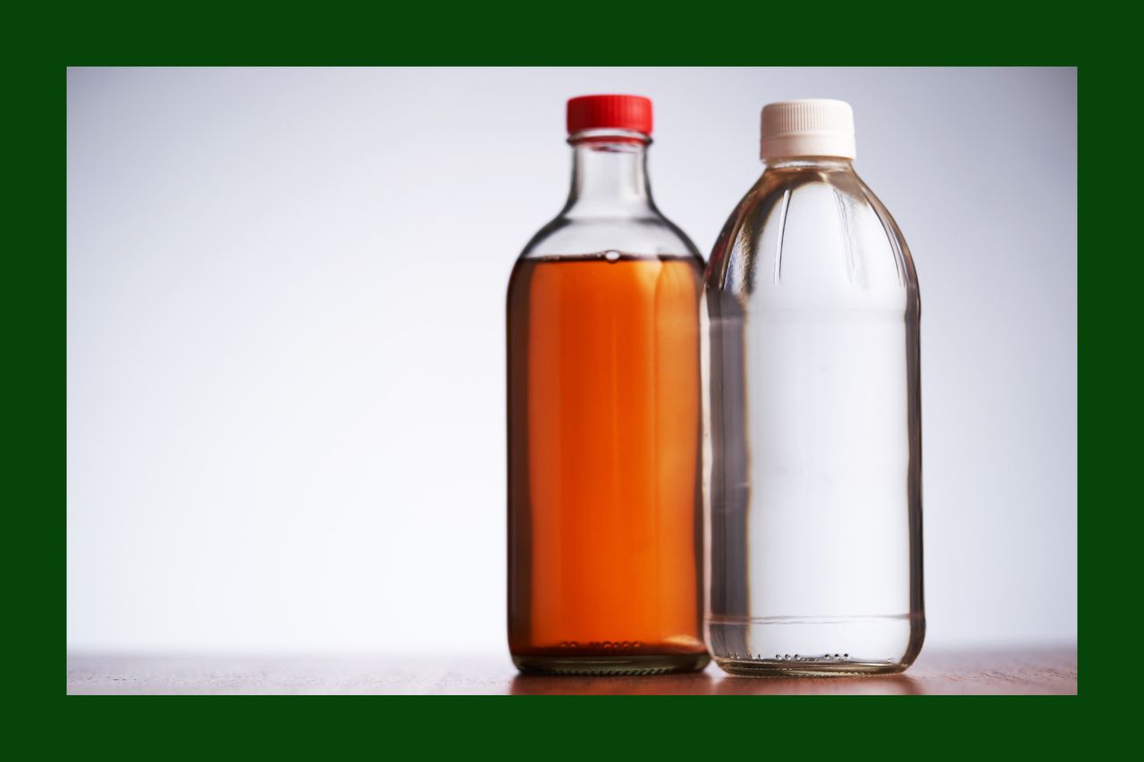 Apple cider and white vinegars.