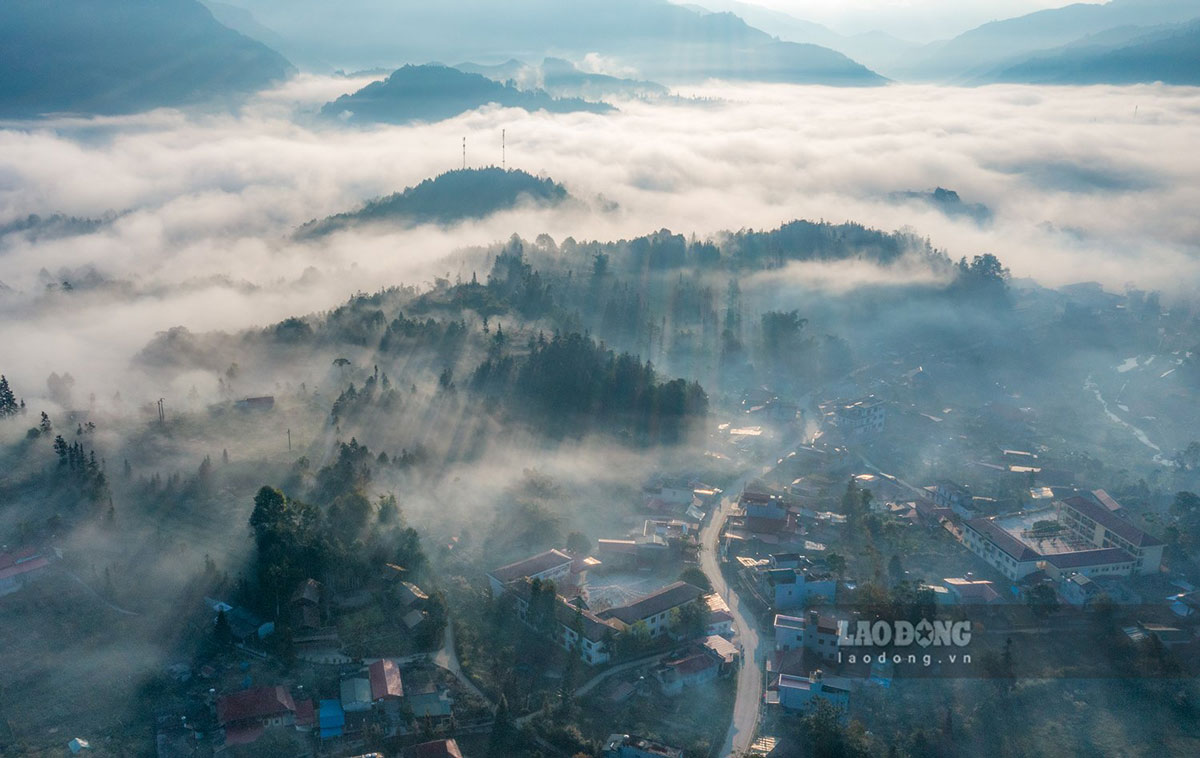 Căn cứ xác định trường hợp nghỉ hưu sớm từ 2026